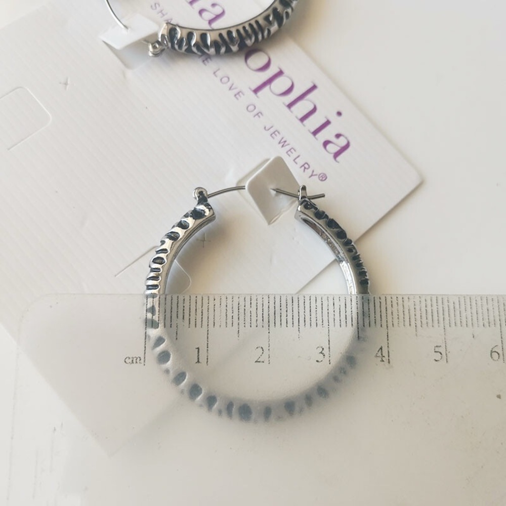 Silver Hoop Earrings with Black Accents